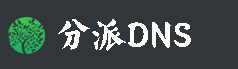 分派DNS